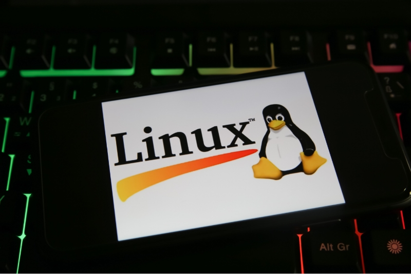 Linuxカスタマイズ&ドライバ開発